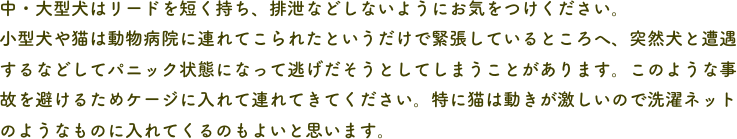 中・大型犬はリードを短く持ち、排泄などしないようにお気をつけください。
小型犬や猫は動物病院に連れてこられたというだけで緊張しているところへ、突然犬と遭遇するなどしてパニック状態になって逃げだそうとしてしまうことがあります。このような事故を避けるためケージに入れて連れてきてください。特に猫は動きが激しいので洗濯ネットのようなものに入れてくるのもよいと思います。