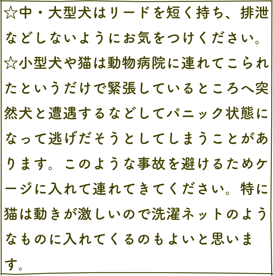 ☆中・大型犬はリードを短く持ち、排泄などしないようにお気をつけください。
☆小型犬や猫は動物病院に連れてこられたというだけで緊張しているところへ突然犬と遭遇するなどしてパニック状態になって逃げだそうとしてしまうことがあります。このような事故を避けるためケージに入れて連れてきてください。特に猫は動きが激しいので洗濯ネットのようなものに入れてくるのもよいと思います｡