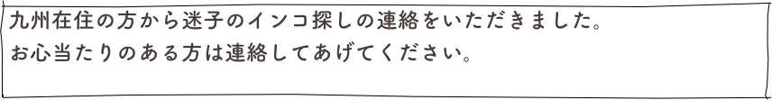 九州在住の方から迷子のインコ探しの連絡をいただきました。
お心当たりのある方は連絡してあげてください。