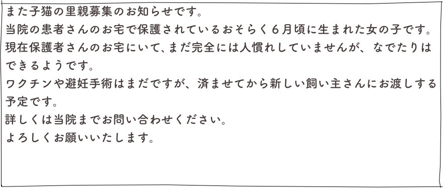 また子猫の里親募集のお知らせです。
当院の患者さんのお宅で保護されているおそらく６月頃に生まれた女の子です。
現在保護者さんのお宅にいて､まだ完全には人慣れしていませんが、なでたりはできるようです。
ワクチンや避妊手術はまだですが、済ませてから新しい飼い主さんにお渡しする予定です。
詳しくは当院までお問い合わせください。
よろしくお願いいたします。
