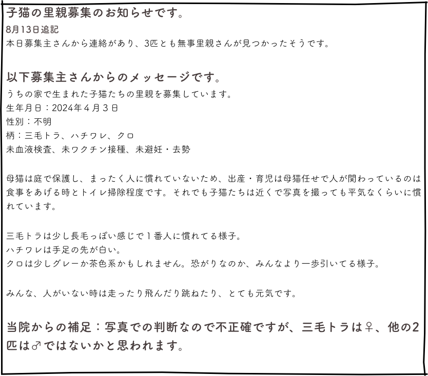 子猫の里親募集のお知らせです。
8月13日追記
本日募集主さんから連絡があり、3匹とも無事里親さんが見つかったそうです。

以下募集主さんからのメッセージです。
うちの家で生まれた子猫たちの里親を募集しています。
生年月日：2024年４月３日
性別：不明
柄：三毛トラ、ハチワレ、クロ
未血液検査、未ワクチン接種、未避妊・去勢

母猫は庭で保護し、まったく人に慣れていないため、出産・育児は母猫任せで人が関わっているのは食事をあげる時とトイレ掃除程度です。それでも子猫たちは近くで写真を撮っても平気なくらいに慣れています。

三毛トラは少し長毛っぽい感じで１番人に慣れてる様子。
ハチワレは手足の先が白い。
クロは少しグレーか茶色系かもしれません。恐がりなのか、みんなより一歩引いてる様子。

みんな、人がいない時は走ったり飛んだり跳ねたり、とても元気です。

当院からの補足：写真での判断なので不正確ですが、三毛トラは♀、他の2匹は♂ではないかと思われます。

