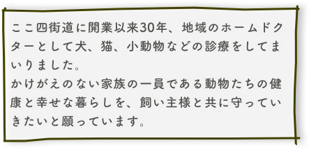 ここ四街道に開業以来30年、地域のホームドクターとして犬、猫、小動物などの診療をしてまいりました。かけがえのない家族の一員である動物たちの健康と幸せな暮らしを、飼い主様と共に守っていきたいと願っています。