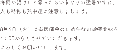 梅雨が明けたと思ったらいきなりの猛暑ですね。
人も動物も熱中症に注意しましょう。

8月6日（火）は獣医師会のため午後の診療開始を4：00からとさせていただきます。
よろしくお願いいたします。