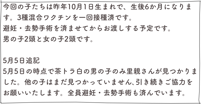 今回の子たちは昨年10月1日生まれで、生後6か月になります。3種混合ワクチンを一回接種済です。
避妊・去勢手術を済ませてからお渡しする予定です。
男の子2頭と女の子2頭です。

5月5日追記　
5月5日の時点で茶トラ白の男の子のみ里親さんが見つかりました。他の子はまだ見つかっていません､引き続きご協力をお願いいたします。全員避妊・去勢手術も済んでいます。