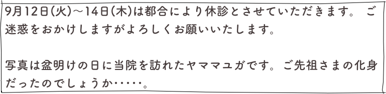 9月12日(火)〜14日(木)は都合により休診とさせていただきます。 ご迷惑をおかけしますがよろしくお願いいたします。

写真は盆明けの日に当院を訪れたヤママユガです。ご先祖さまの化身だったのでしょうか･････。