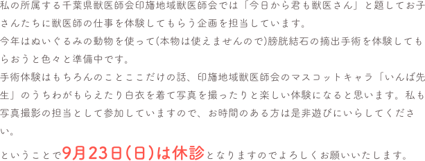 私の所属する千葉県獣医師会印旛地域獣医師会では「今日から君も獣医さん」と題してお子さんたちに獣医師の仕事を体験してもらう企画を担当しています。
今年はぬいぐるみの動物を使って(本物は使えませんので)膀胱結石の摘出手術を体験してもらおうと色々と準備中です。
手術体験はもちろんのことここだけの話、印旛地域獣医師会のマスコットキャラ「いんば先生」のうちわがもらえたり白衣を着て写真を撮ったりと楽しい体験になると思います。私も写真撮影の担当として参加していますので、お時間のある方は是非遊びにいらしてください。
ということで9月23日(日)は休診となりますのでよろしくお願いいたします。