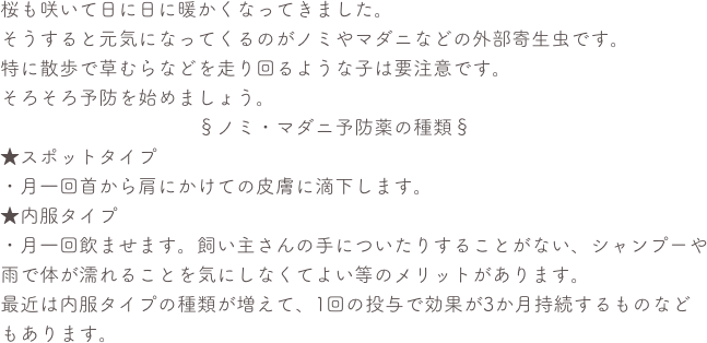 桜も咲いて日に日に暖かくなってきました。 
そうすると元気になってくるのがノミやマダニなどの外部寄生虫です。 
特に散歩で草むらなどを走り回るような子は要注意です。 
そろそろ予防を始めましょう。 
　　　　　　　　　　§ノミ・マダニ予防薬の種類§ 
★スポットタイプ 
・月一回首から肩にかけての皮膚に滴下します。 
★内服タイプ 
・月一回飲ませます。飼い主さんの手についたりすることがない、シャンプーや雨で体が濡れることを気にしなくてよい等のメリットがあります。
最近は内服タイプの種類が増えて、1回の投与で効果が3か月持続するものなどもあります。