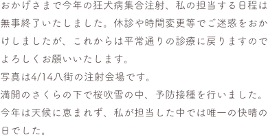 おかげさまで今年の狂犬病集合注射、私の担当する日程は無事終了いたしました。休診や時間変更等でご迷惑をおかけしましたが、これからは平常通りの診療に戻りますのでよろしくお願いいたします。
写真は4/14八街の注射会場です。
満開のさくらの下で桜吹雪の中、予防接種を行いました。
今年は天候に恵まれず、私が担当した中では唯一の快晴の日でした。