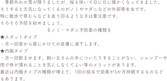 　季節外れの雪が降りましたが、桜も咲いて日に日に暖かくなってきました。 
そうすると元気になってくるのがノミやマダニなどの外部寄生虫です。 
特に散歩で草むらなどを走り回るような子は要注意です。 
そろそろ予防を始めましょう。 
　　　　　　　　　　§ノミ・マダニ予防薬の種類§ 
★スポットタイプ 
・月一回首から肩にかけての皮膚に滴下します。 
★内服タイプ 
・月一回飲ませます。飼い主さんの手についたりすることがない、シャンプーや雨で体が濡れることを気にしなくてよい等のメリットがあります。
最近は内服タイプの種類が増えて、1回の投与で効果が3か月持続するものなどもあります。