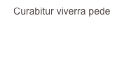 Curabitur viverra pede