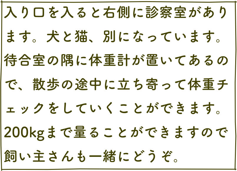 入り口を入ると右側に診察室があります。犬と猫、別になっています。
待合室の隅に体重計が置いてあるので、散歩の途中に立ち寄って体重チェックをしていくことができます。200kgまで量ることができますので飼い主さんも一緒にどうぞ。