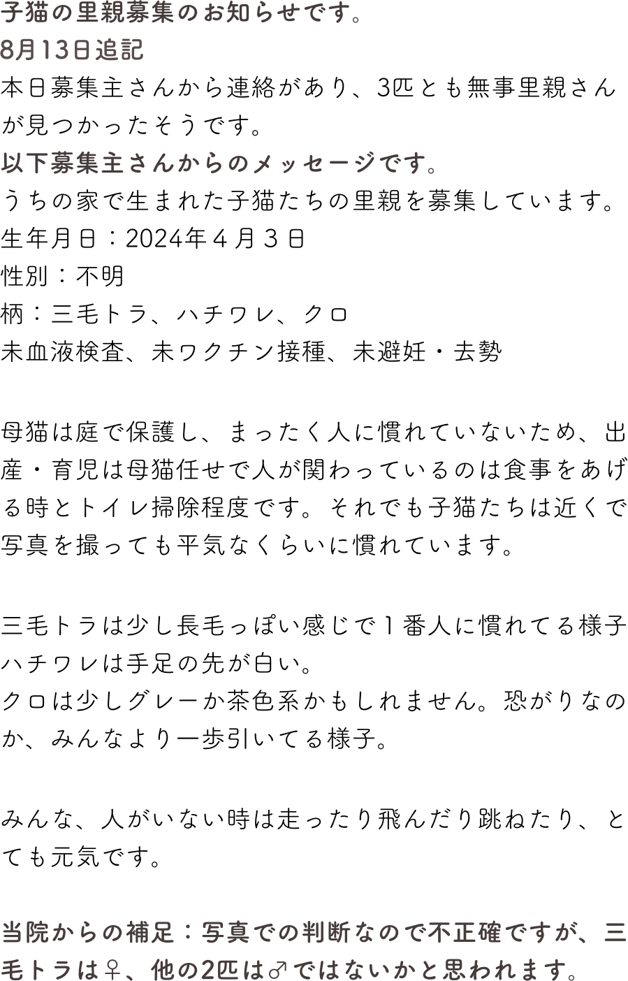 子猫の里親募集のお知らせです。
8月13日追記
本日募集主さんから連絡があり、3匹とも無事里親さんが見つかったそうです。
以下募集主さんからのメッセージです。
うちの家で生まれた子猫たちの里親を募集しています。
生年月日：2024年４月３日
性別：不明
柄：三毛トラ、ハチワレ、クロ
未血液検査、未ワクチン接種、未避妊・去勢

母猫は庭で保護し、まったく人に慣れていないため、出産・育児は母猫任せで人が関わっているのは食事をあげる時とトイレ掃除程度です。それでも子猫たちは近くで写真を撮っても平気なくらいに慣れています。

三毛トラは少し長毛っぽい感じで１番人に慣れてる様子
ハチワレは手足の先が白い。
クロは少しグレーか茶色系かもしれません。恐がりなのか、みんなより一歩引いてる様子。

みんな、人がいない時は走ったり飛んだり跳ねたり、とても元気です。

当院からの補足：写真での判断なので不正確ですが、三毛トラは♀、他の2匹は♂ではないかと思われます。
