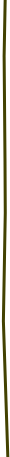 stroke