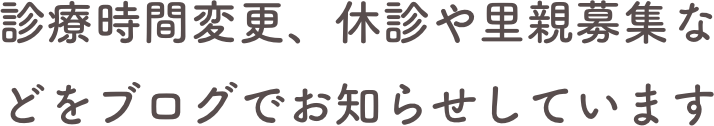 診療時間変更、休診や里親募集などをブログでお知らせしています
