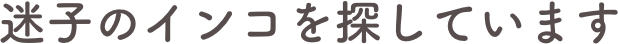 迷子のインコを探しています