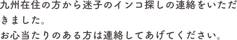 九州在住の方から迷子のインコ探しの連絡をいただきました。
お心当たりのある方は連絡してあげてください。