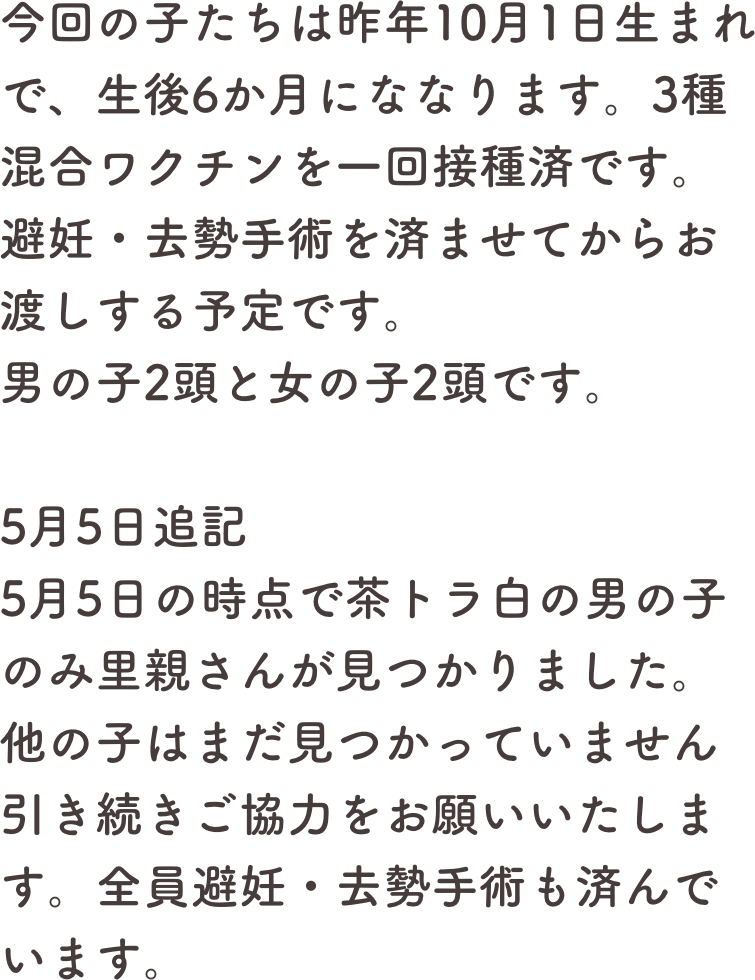 今回の子たちは昨年10月1日生まれで、生後6か月にななります。3種混合ワクチンを一回接種済です。
避妊・去勢手術を済ませてからお渡しする予定です。
男の子2頭と女の子2頭です。

5月5日追記　
5月5日の時点で茶トラ白の男の子のみ里親さんが見つかりました。他の子はまだ見つかっていません引き続きご協力をお願いいたします。全員避妊・去勢手術も済んでいます。