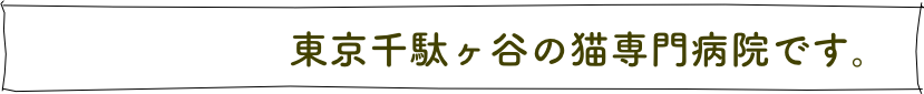 　　　　　　　東京千駄ヶ谷の猫専門病院です。