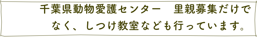 　　　千葉県動物愛護センター　里親募集だけで
　　　　なく、しつけ教室なども行っています。