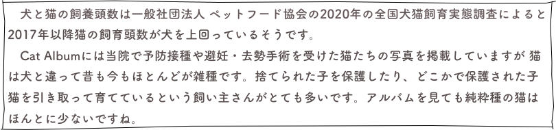 　犬と猫の飼養頭数は一般社団法人 ペットフード協会の2020年の全国犬猫飼育実態調査によると2017年以降猫の飼育頭数が犬を上回っているそうです。　Cat Albumには当院で予防接種や避妊・去勢手術を受けた猫たちの写真を掲載していますが 猫は犬と違って昔も今もほとんどが雑種です。捨てられた子を保護したり、どこかで保護された子猫を引き取って育てているという飼い主さんがとても多いです。アルバムを見ても純粋種の猫はほんとに少ないですね。