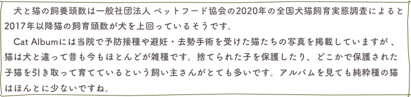 　犬と猫の飼養頭数は一般社団法人 ペットフード協会の2020年の全国犬猫飼育実態調査によると2017年以降猫の飼育頭数が犬を上回っているそうです。　Cat Albumには当院で予防接種や避妊・去勢手術を受けた猫たちの写真を掲載していますが 、猫は犬と違って昔も今もほとんどが雑種です。捨てられた子を保護したり、どこかで保護された子猫を引き取って育てているという飼い主さんがとても多いです。アルバムを見ても純粋種の猫はほんとに少ないですね。