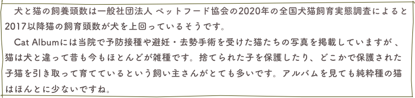 　犬と猫の飼養頭数は一般社団法人 ペットフード協会の2020年の全国犬猫飼育実態調査によると2017以降猫の飼育頭数が犬を上回っているそうです。　Cat Albumには当院で予防接種や避妊・去勢手術を受けた猫たちの写真を掲載していますが 、猫は犬と違って昔も今もほとんどが雑種です。捨てられた子を保護したり、どこかで保護された子猫を引き取って育てているという飼い主さんがとても多いです。アルバムを見ても純粋種の猫はほんとに少ないですね。