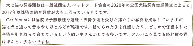 　犬と猫の飼養頭数は一般社団法人 ペットフード協会の2020年の全国犬猫飼育実態調査によると2017年以降猫の飼育頭数が犬を上回っているそうです。　Cat Albumには当院で予防接種や避妊・去勢手術を受けた猫たちの写真を掲載していますが 、猫は犬と違って昔も今もほとんどが雑種です。捨てられた子を保護したり、どこかで保護された子猫を引き取って育てているという飼い主さんがとても多いです。アルバムを見ても純粋種の猫はほんとに少ないですね。