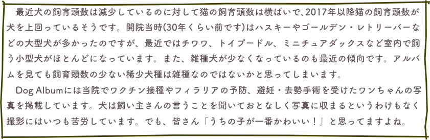 　最近犬の飼育頭数は減少しているのに対して猫の飼育頭数は横ばいで､2017年以降猫の飼育頭数が犬を上回っているそうです。開院当時(30年くらい前です)はハスキーやゴールデン・レトリーバーなどの大型犬が多かったのですが、最近ではチワワ、トイプードル、ミニチュアダックスなど室内で飼う小型犬がほとんどになっています。また、雑種犬が少なくなっているのも最近の傾向です。アルバムを見ても飼育頭数の少ない稀少犬種は雑種なのではないかと思ってしまいます。　
　Dog Albumには当院でワクチン接種やフィラリアの予防、避妊・去勢手術を受けたワンちゃんの写真を掲載しています。犬は飼い主さんの言うことを聞いておとなしく写真に収まるというわけもなく撮影にはいつも苦労しています。でも、皆さん「うちの子が一番かわいい！」と思ってますよね。