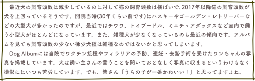 　最近犬の飼育頭数は減少しているのに対して猫の飼育頭数は横ばいで､2017年以降猫の飼育頭数が犬を上回っているそうです。開院当時(30年くらい前です)はハスキーやゴールデン・レトリーバーなどの大型犬が多かったのですが、最近ではチワワ、トイプードル、ミニチュアダックスなど室内で飼う小型犬がほとんどになっています。また、雑種犬が少なくなっているのも最近の傾向です。アルバムを見ても飼育頭数の少ない稀少犬種は雑種なのではないかと思ってしまいます。　
　Dog Albumには当院でワクチン接種やフィラリアの予防、避妊・去勢手術を受けたワンちゃんの写真を掲載しています。犬は飼い主さんの言うことを聞いておとなしく写真に収まるというわけもなく撮影にはいつも苦労しています。でも、皆さん「うちの子が一番かわいい！」と思ってますよね。